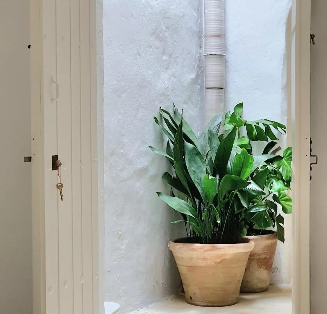 Canalejas 3 Vejer Vejer de la Frontera Country house